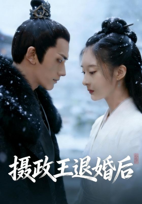 摄政王退婚后封面图
