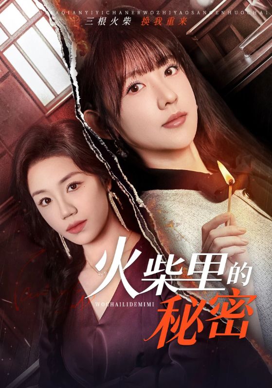 火柴里的秘密封面图