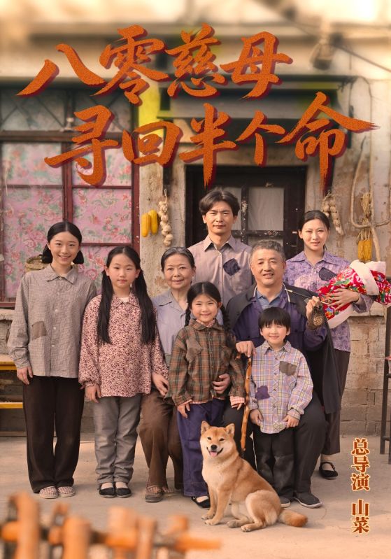 八零慈母寻回半个命封面图