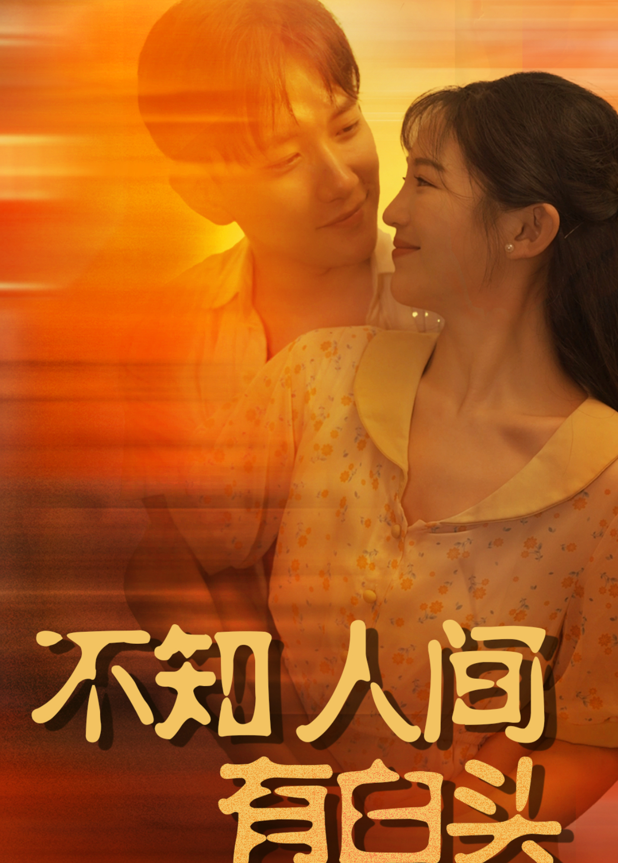 不知人间有白头封面图