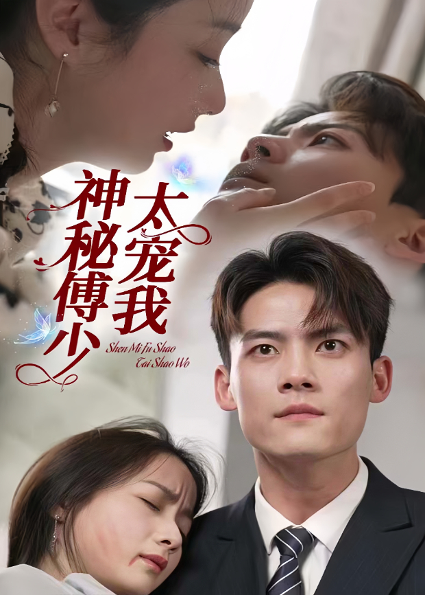 神秘傅少太宠我封面图