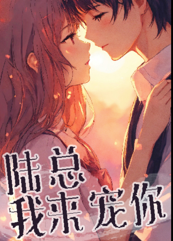 陆总我来宠你封面图