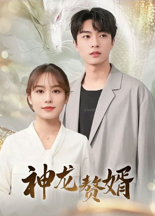神龙赘婿封面图